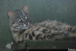 Zoo Olomouc