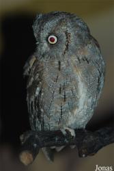 Zoo Olomouc