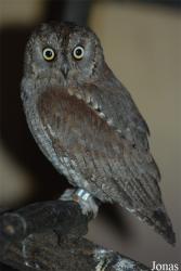 Zoo Olomouc