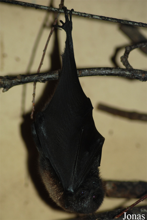 Zoo Olomouc