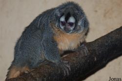 Zoo Olomouc