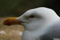 Zoo Olomouc