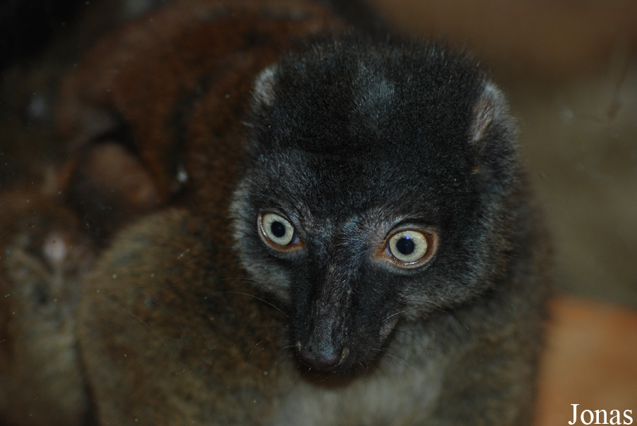 Zoo Olomouc