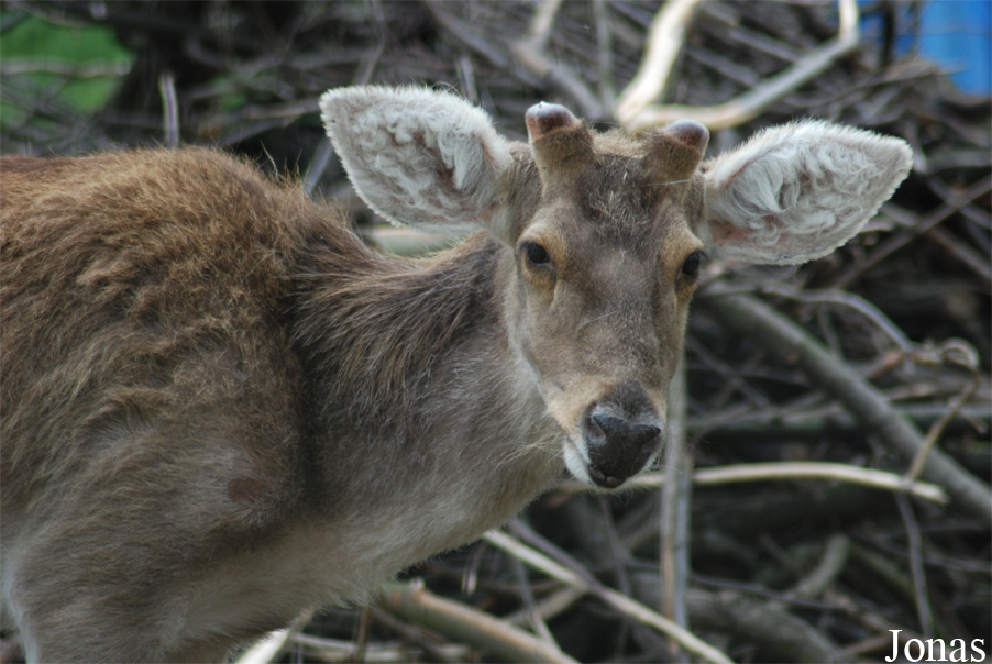 Zoo Hodonín