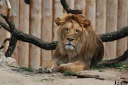 Zoo Hodonín