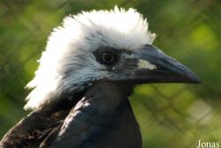 Zoo Zlín