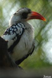 Zoo Zlín