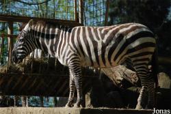 Zoo Zlín