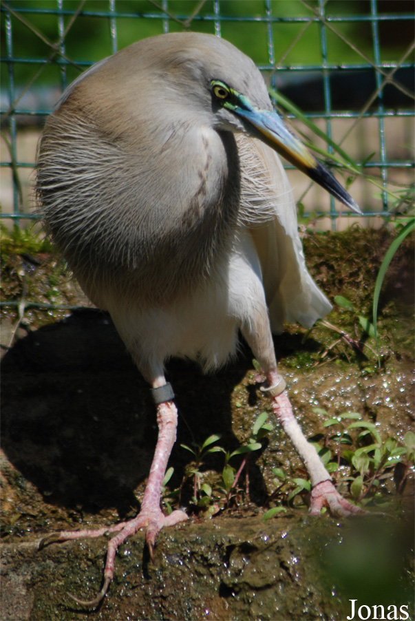 Zoo Zlín