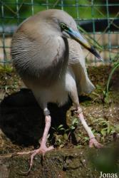 Zoo Zlín
