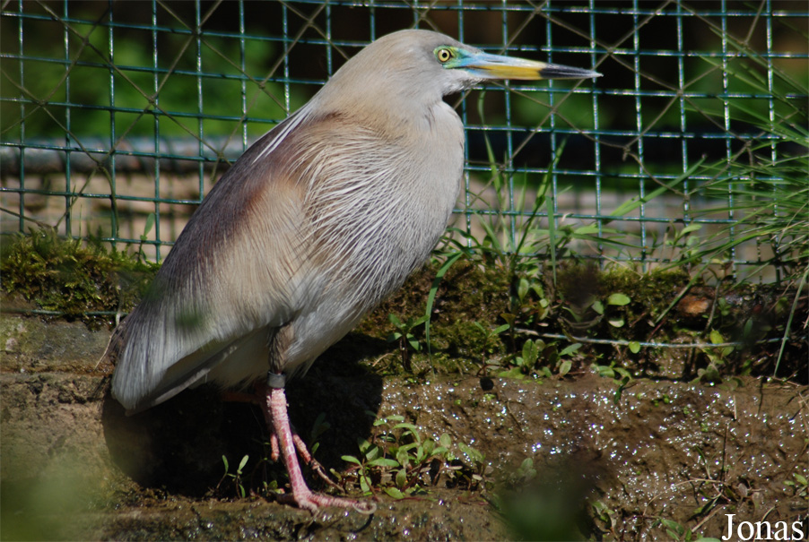 Zoo Zlín