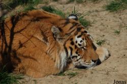 Zoo Zlín