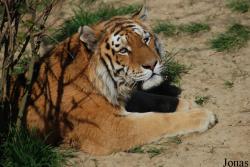 Zoo Zlín