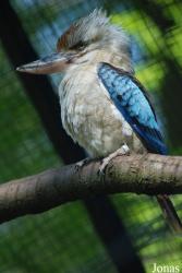 Zoo Zlín