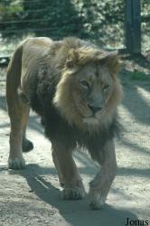 Zoo Köln