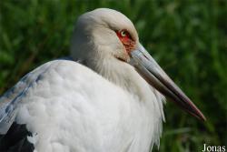 Zoo Zlín