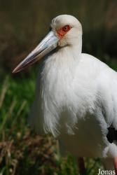 Zoo Zlín