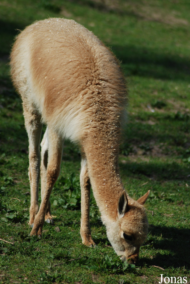 Zoo Zlín