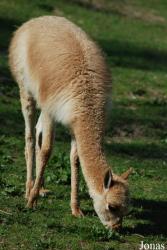 Zoo Zlín