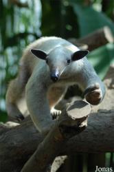 Zoo Zlín