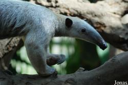 Zoo Zlín
