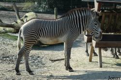 Zoo Köln