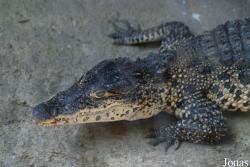 Zoo Zlín