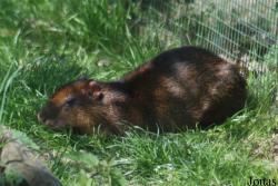 Zoo Zlín