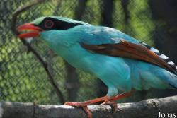 Zoo Zlín
