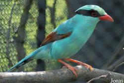 Zoo Zlín