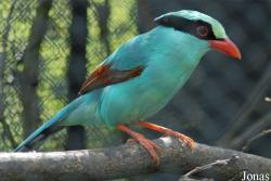 Zoo Zlín