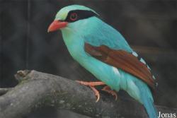 Zoo Zlín