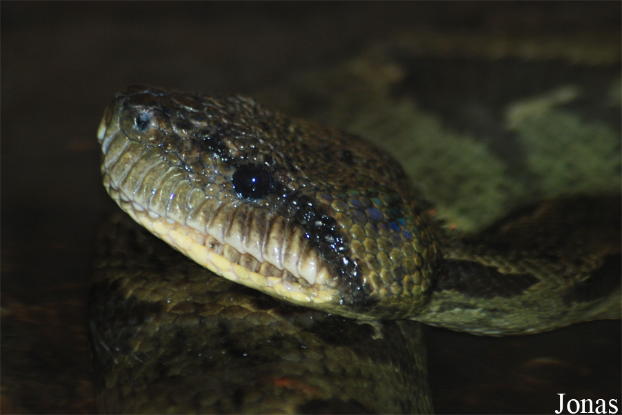 Zoo Zlín