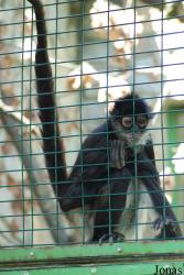 Zoo Zlín