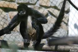Zoo Zlín