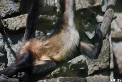 Zoo Zlín