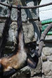 Zoo Zlín