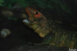 Zoologická zahrada města Brna