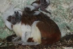 Zoo Jihlava