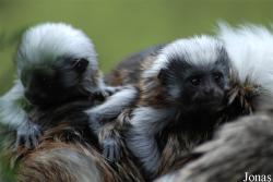 Zoo Jihlava