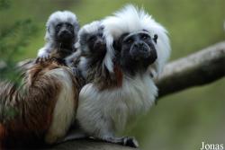 Zoo Jihlava