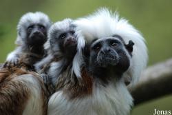 Zoo Jihlava