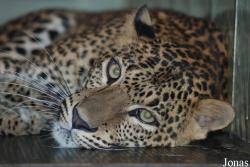 Zoo Jihlava