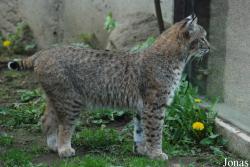 Zoo Jihlava