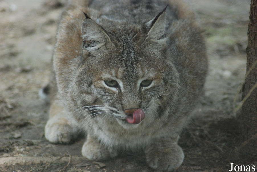 Zoo Jihlava