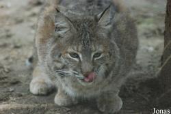 Zoo Jihlava