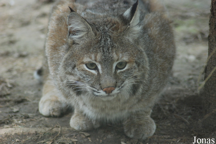 Zoo Jihlava