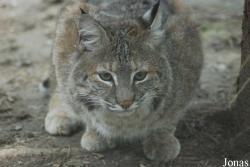 Zoo Jihlava