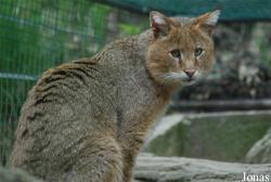 Zoo Jihlava