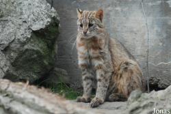 Zoo Jihlava